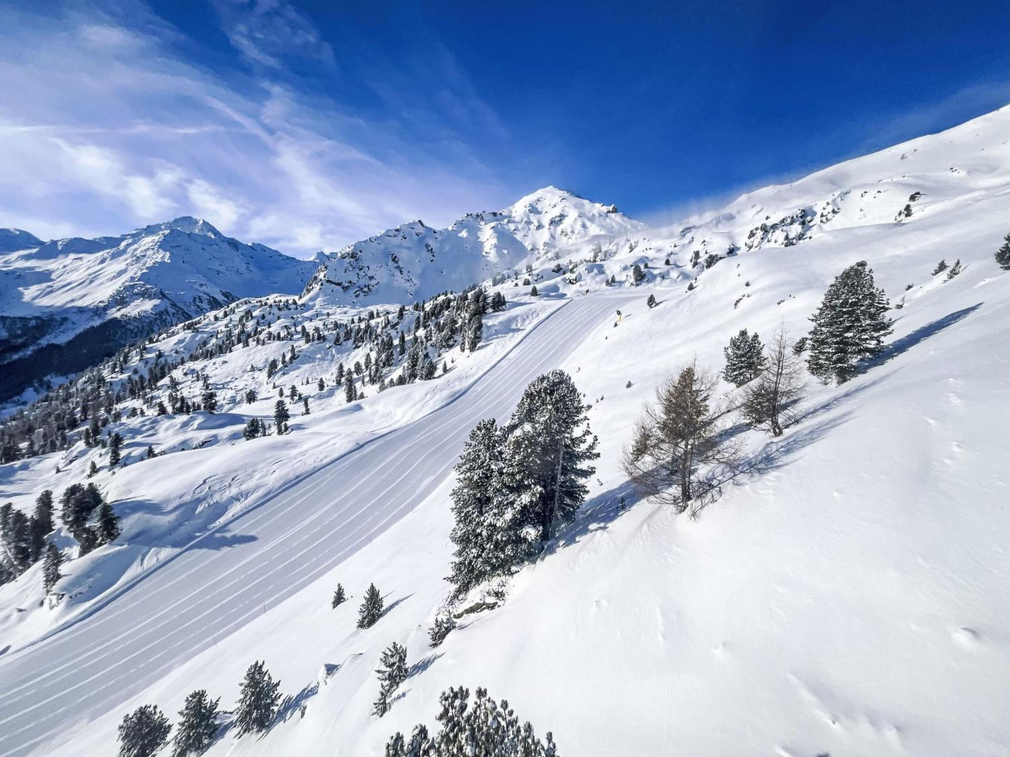 Chalet Les Penguins By Interhome Nendaz Ngoại thất bức ảnh