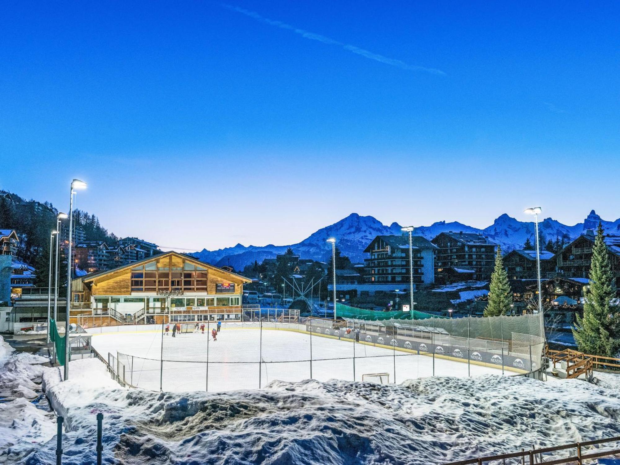 Chalet Les Penguins By Interhome Nendaz Ngoại thất bức ảnh